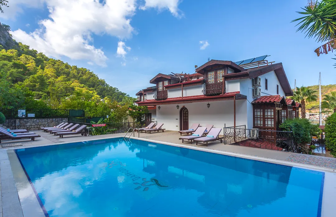 Hotel Villa Daffodil-1